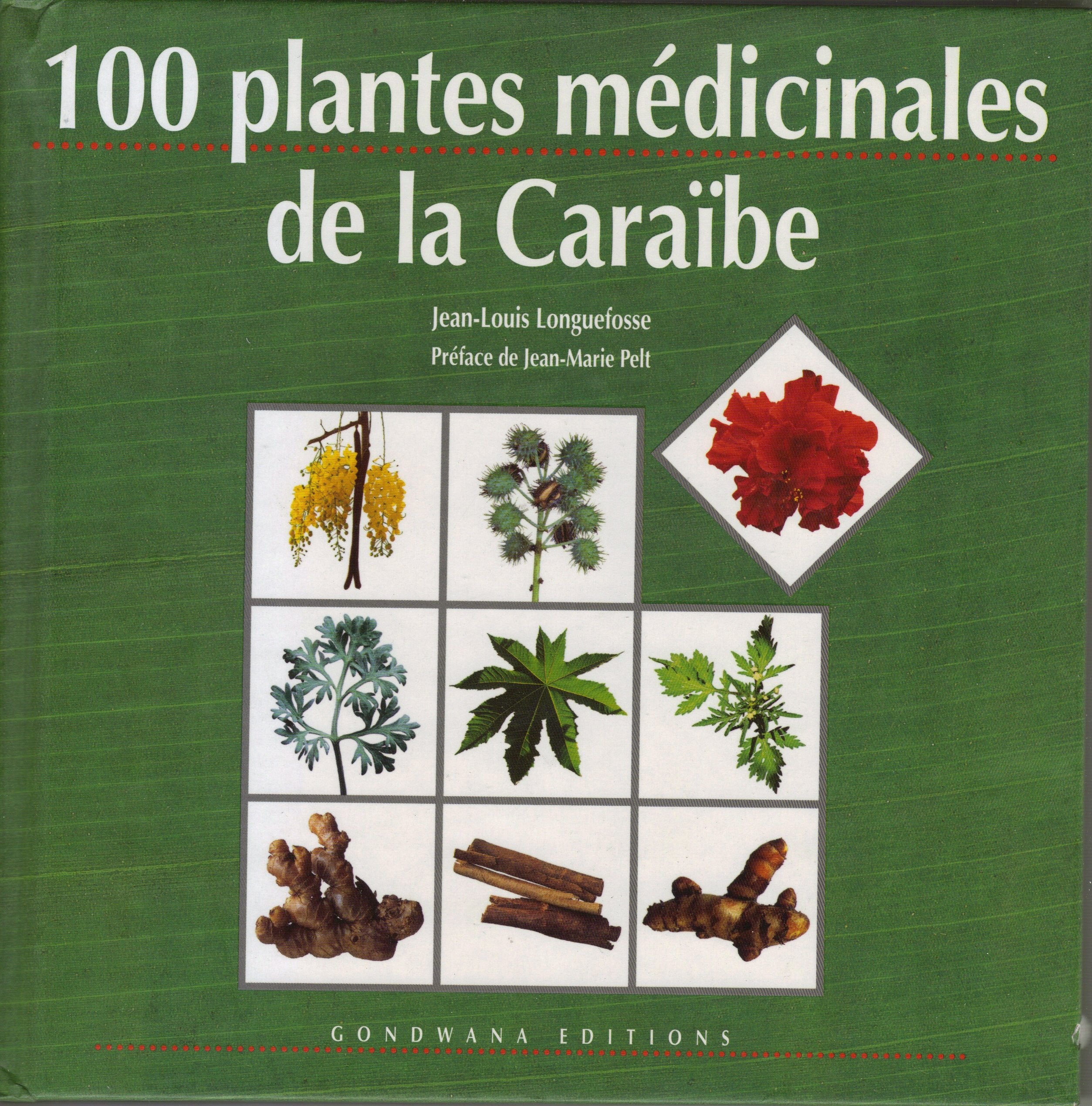 100 plates M‚dicinales de la caraibe [Hardcover] Jean Louis Longuefosse 9782908490244